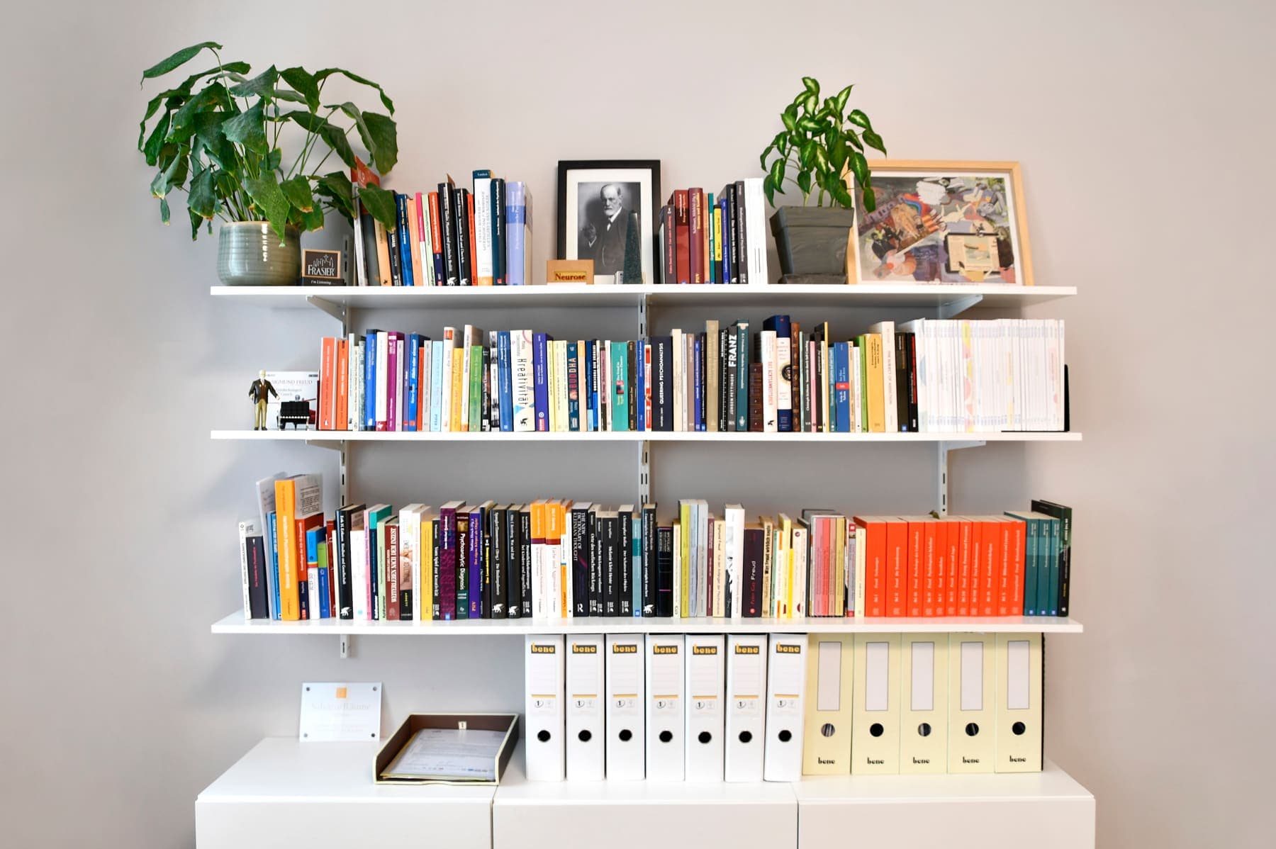 Bücherwand mit Pflanzen und Foto Sigmund Freuds